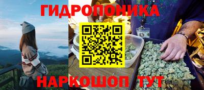 шишки Бузулук
