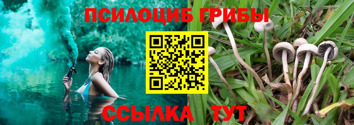 Фурманов  Галлюциногенные грибы мухоморы  Вход с VPN 